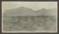 Photograph: [Desert landscape with mountains]