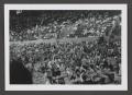 Photograph: [Photograph of the crowd at a Donovan concert]