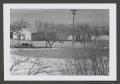 Photograph: [Photograph of many trees obstructing a small house]