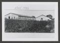 Thumbnail image of item number 1 in: '[Two buildings at the Stiles Plant Farm]'.