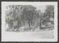 Photograph: [Photograph of a picnic area under some trees]
