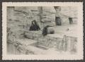 Photograph: [Two bears in an enclosure]