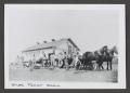 Photograph: [Photograph of horses pulling a wagon at the Stiles Plant Farm]