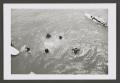Photograph: [Photograph of a group of teenagers swimming]
