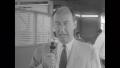 Primary view of [News Clip: Adlai]