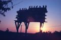 Photograph: [Sunset over a birdhouse]