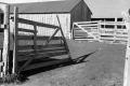 Photograph: [Wooden gate on a farm]