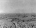 Photograph: [Large field in Mexico]