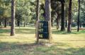 Photograph: [Trashcan in a park]