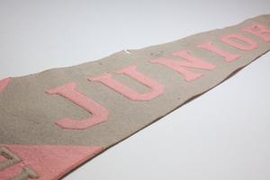 A grey and pink pennant with the word Junior on it.