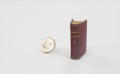 Photograph: [The Smallest English Dictionary next to dime]