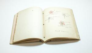 An open book. The left page is blank while the right page has 4 small drawings of flowers, with writing next to it.