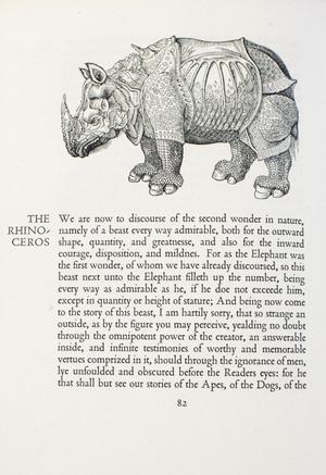 A page with a drawing of an armored rhino at the top, under it is a paragraph of text.