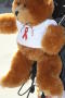 Photograph: [Teddy-bear at the second LSRFA pit-stop]