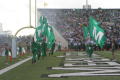 Photograph: [Flag runners during the UNT v Navy game]