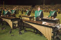 Photograph: [Xylophone players at Homecoming game, 2007]