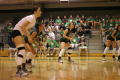 Photograph: [Volleyball players on court]