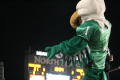 Photograph: [Scrappy at UNT v ULM game]