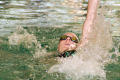 Photograph: [NT swimmer doing backstroke]