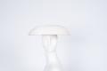 Physical Object: Mushroom hat