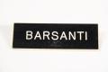 Thumbnail image of item number 1 in: '[Barsanti's name tag]'.
