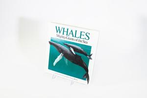 Una portada de libro blanca con una ilustración azul/verde de agua con una gran ballena y una ballena más pequeña nadando en ella. El título está en la parte superior.