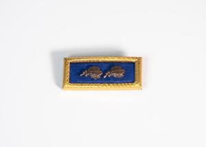 Primary view of object titled '[Blue ribbon with two leaf clusters]'.