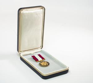 Primary view of object titled '[Barsanti's Distinguished Service Medal]'.