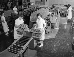 Black and white photo of women working around large machines in a warehouse. The women wear white uniform dresses, and are seen packing sets of smaller boxes of tea into larger cardboard boxes.