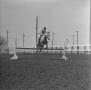 Thumbnail image of item number 1 in: '[Lee's Page Boy competing at Latigo Farms, 5]'.