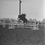 Thumbnail image of item number 1 in: '[Lee's Page Boy competing at Latigo Farms, 4]'.