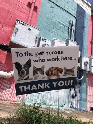 Primary view of object titled '[Sign thanking veterinary workers]'.
