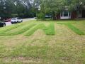 Photograph: [Lawn with "UNT" mowed into grass]