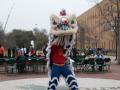 Primary view of [Chinese dragon on UNT campus]