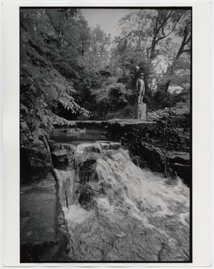 Primary view of object titled '[Jack Daniel's Cave Spring with Ducks]'.
