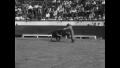 Video: [News Clip: Bullfighting]