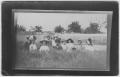 Photograph: [Ten people sitting outdoors in the grass]