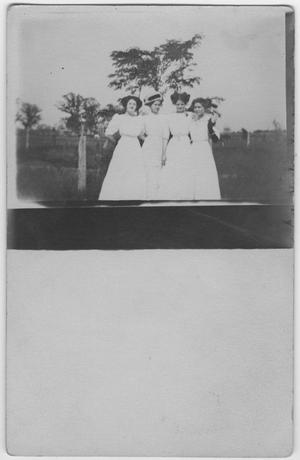 Primary view of object titled '[Four women posing together outdoors]'.