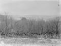 Photograph: [Photograph of a heavily forested area]