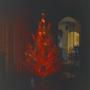 Photograph: [A small lit Christmas tree]