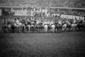 Photograph: [A row of individuals on horseback]