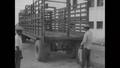 Primary view of [News Clip: Cattle Moved Across Border]