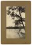 Thumbnail image of item number 1 in: '[Body of water, trees in the foreground]'.