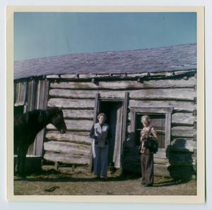 Primary view of object titled '[Morrow Cabin in Freestone County, 2]'.