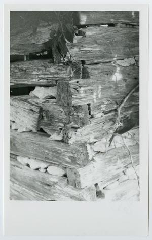 Primary view of object titled '[Corner notching of a log cabin in Hays County]'.