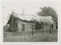 Photograph: [A log cabin in Lamar County]