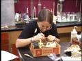 Video: [Ray Roberts Archaeology: Bonnie Yates in Lab Sacrum]