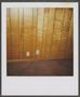 Photograph: [Wooden wall with two outlets]