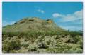 Thumbnail image of item number 1 in: '[Postcard of Turtle Back Mountain]'.