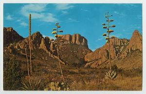 Primary view of object titled '[Postcard of Green Gulch]'.